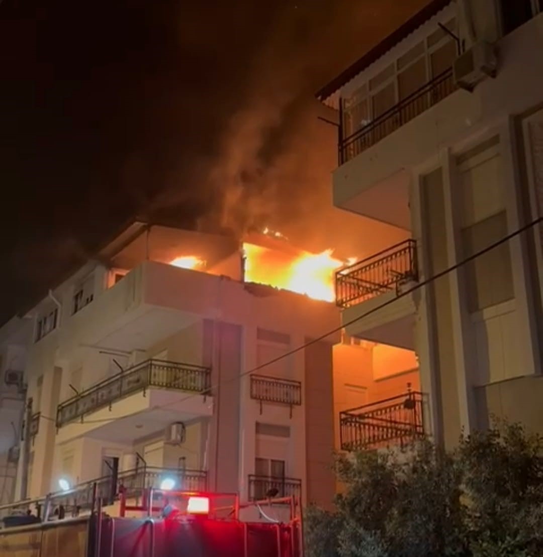 korkutan yanginda mahsur kalan kediyi itfaiye kurtardi 11 VppPsEP4