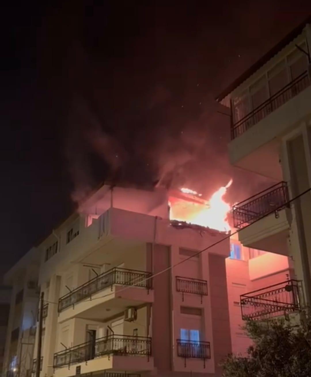 korkutan yanginda mahsur kalan kediyi itfaiye kurtardi 12 Qr3WFn1n