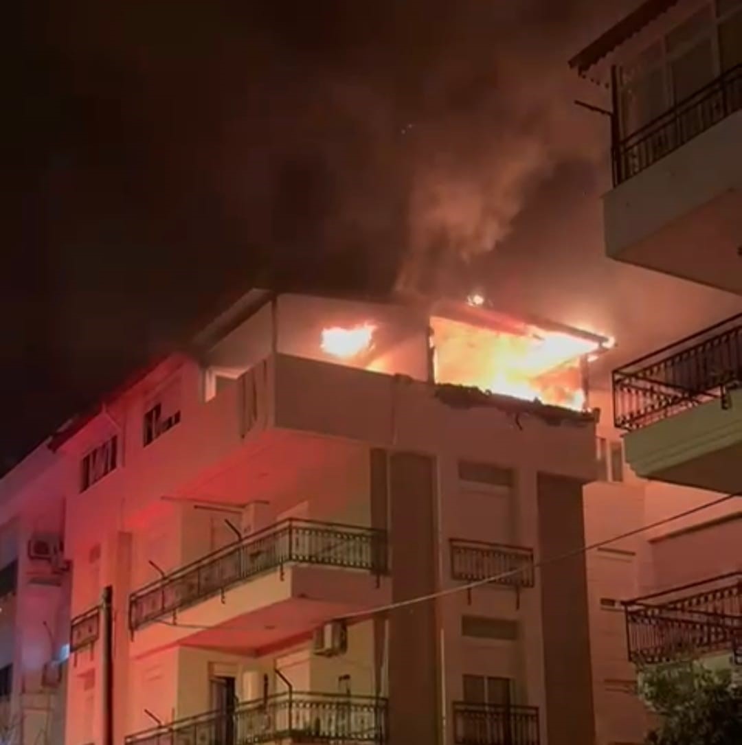 korkutan yanginda mahsur kalan kediyi itfaiye kurtardi 13 Ddi4ffcD