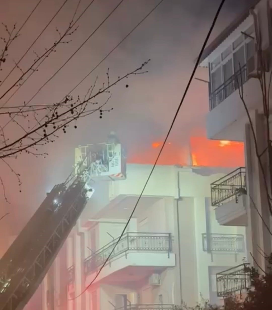 korkutan yanginda mahsur kalan kediyi itfaiye kurtardi 15 NBja376j