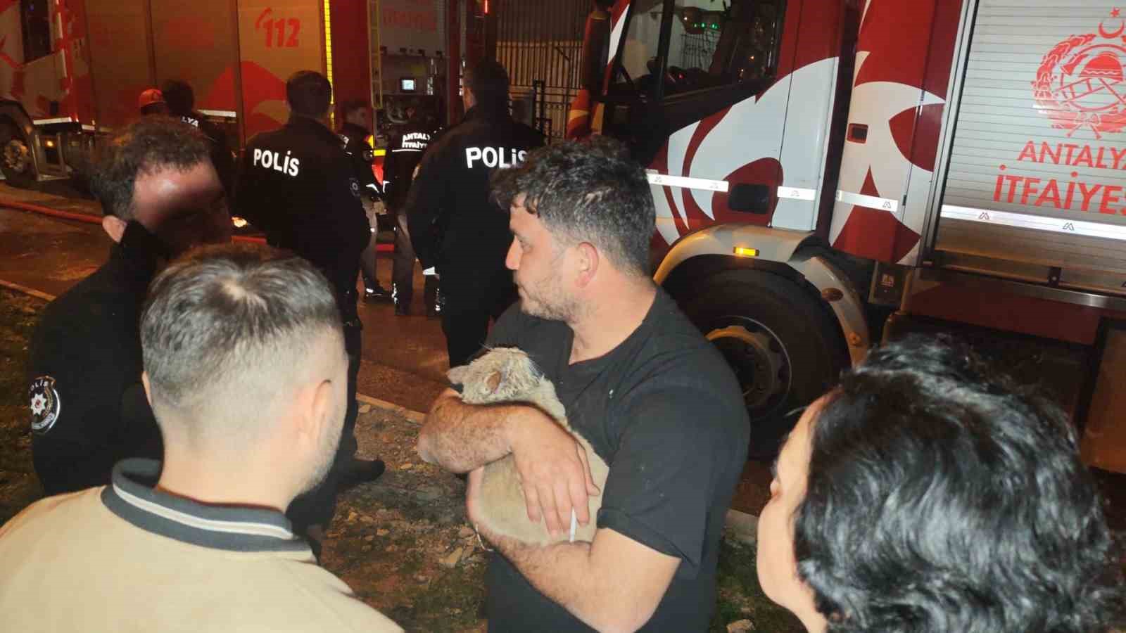 korkutan yanginda mahsur kalan kediyi itfaiye kurtardi 9 2yDV2tcc