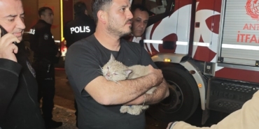 korkutan-yanginda-mahsur-kalan-kediyi-itfaiye-kurtardi-dQl87uIT.jpg