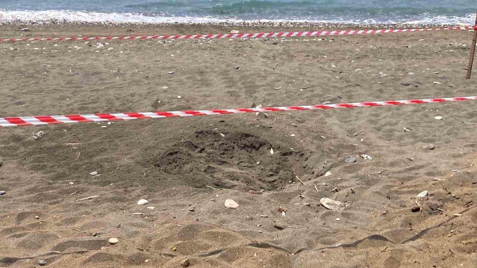 Koruma alanı dışına yuva yapan caretta caretta için şeritli tedbir 6 koruma alani disina yuva yapan caretta caretta icin seritli tedbir 2 zlrNzQcD