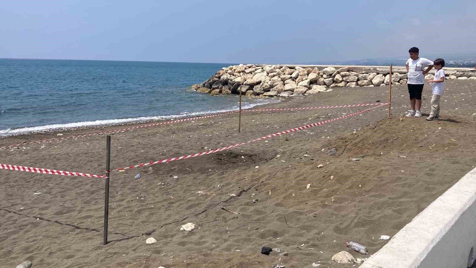 Koruma alanı dışına yuva yapan caretta caretta için şeritli tedbir 7 koruma alani disina yuva yapan caretta caretta icin seritli tedbir 3 kEYpIvGJ