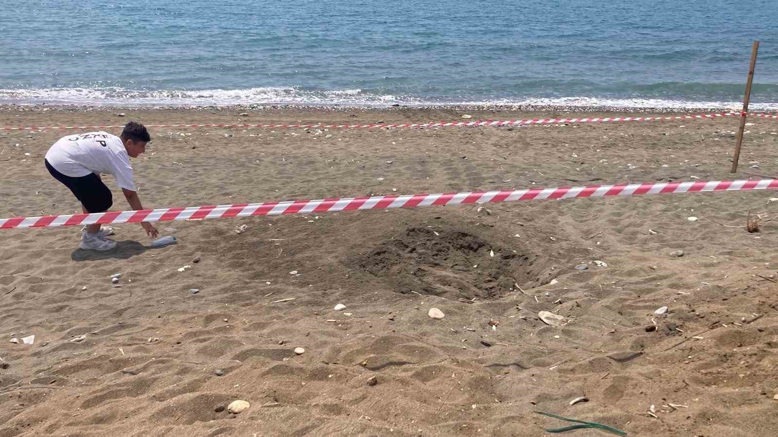 Koruma alanı dışına yuva yapan caretta caretta için şeritli tedbir 8 koruma alani disina yuva yapan caretta caretta icin seritli tedbir 4 dqVqzZV5