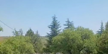 koruma-altindaki-dag-kecileri-harput-mezarliklarinda-goruntulendi-YvO3iqRk.jpg