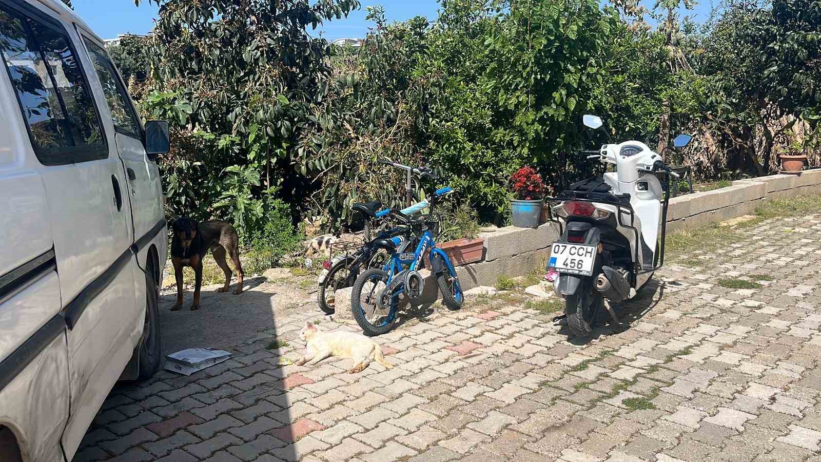 kotu sartlarda evde tutulan hayvanlar genclerin tepkisi sonrasi kurtarildi 2 NlJhQ1gL