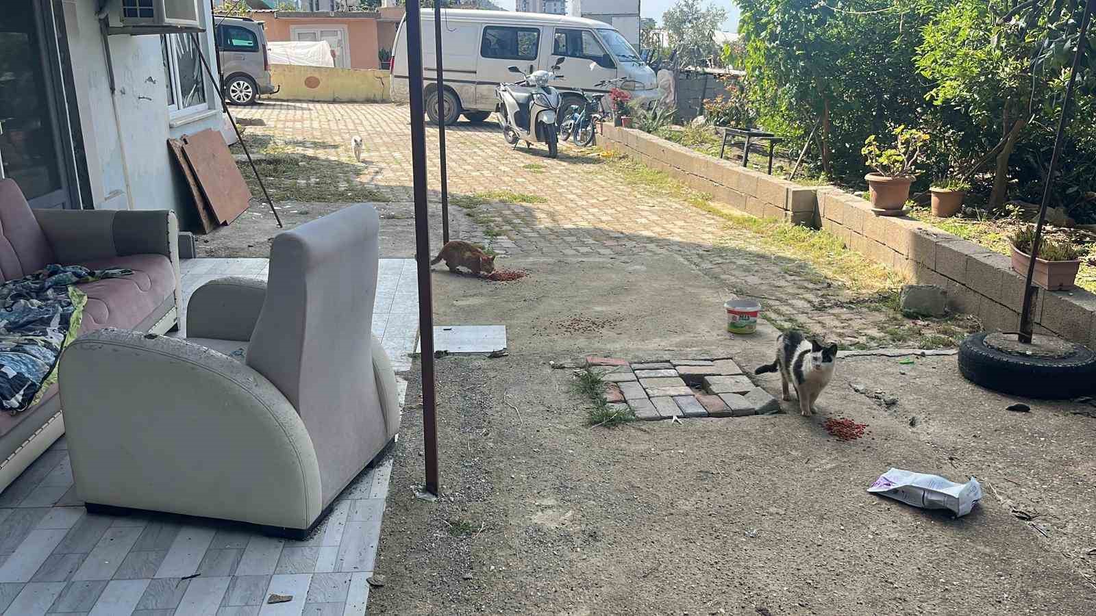 kotu sartlarda evde tutulan hayvanlar genclerin tepkisi sonrasi kurtarildi 4 tb12VHZk