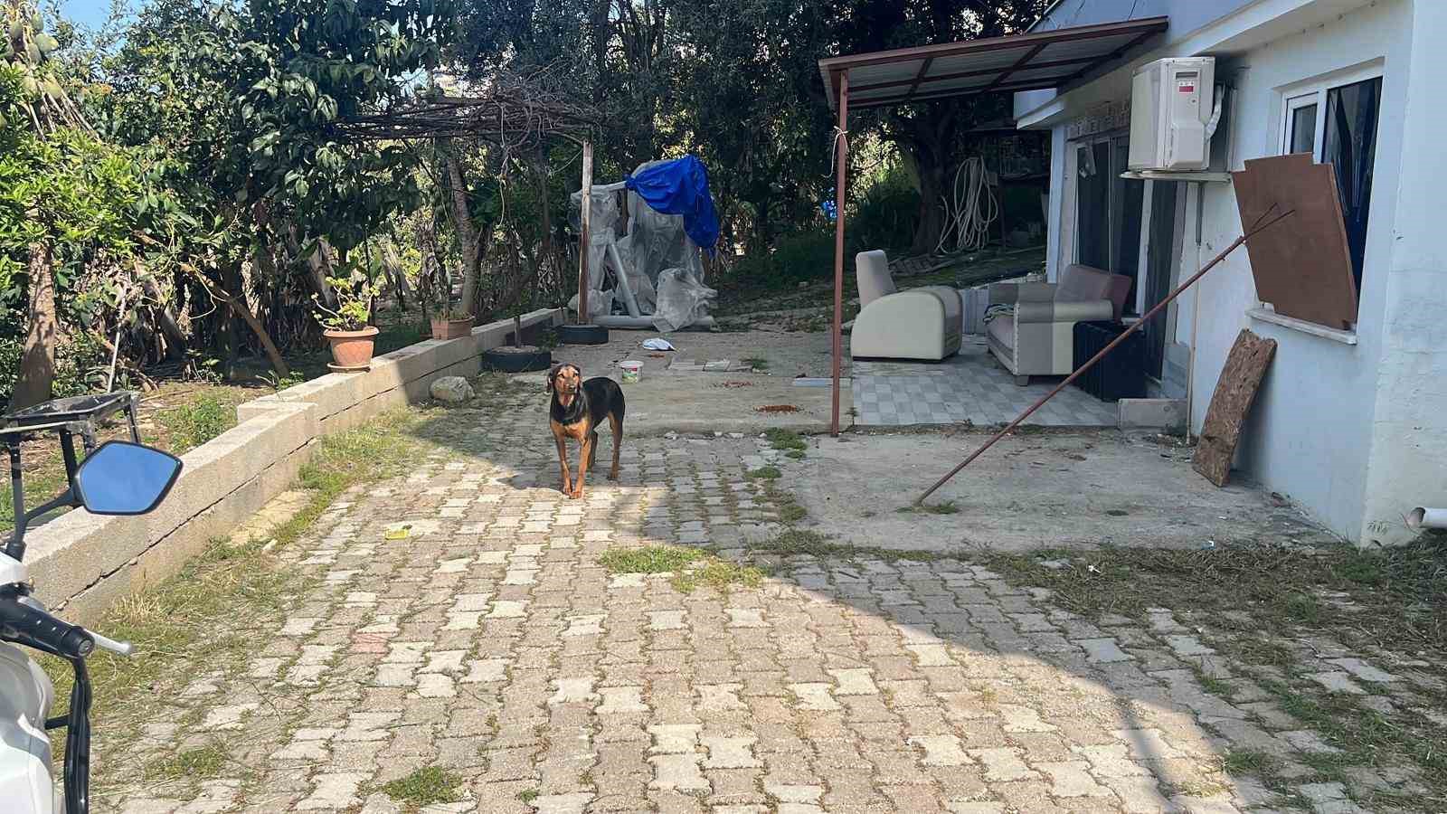 kotu sartlarda evde tutulan hayvanlar genclerin tepkisi sonrasi kurtarildi 5 8Hq3qSId