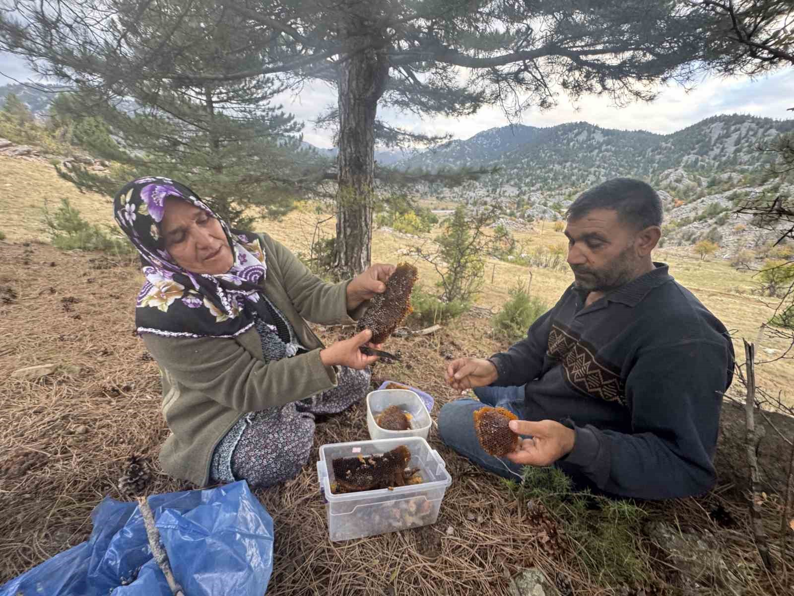 kovanlarindan kacan firari arilarin izini surup toroslardaki dogal kovanlari buluyorlar 10 nVqpvPA7