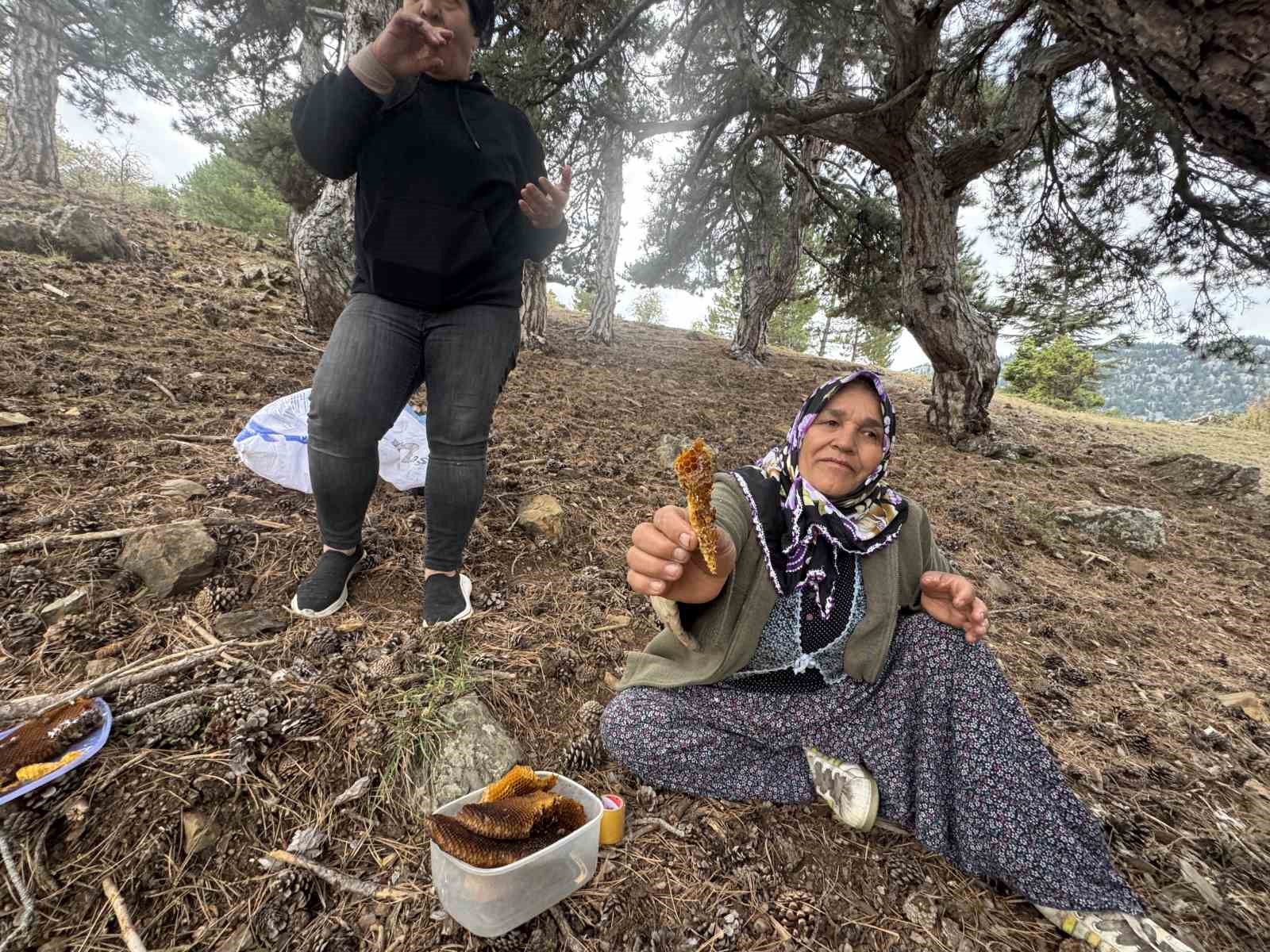 kovanlarindan kacan firari arilarin izini surup toroslardaki dogal kovanlari buluyorlar 6 ccdbpr6D