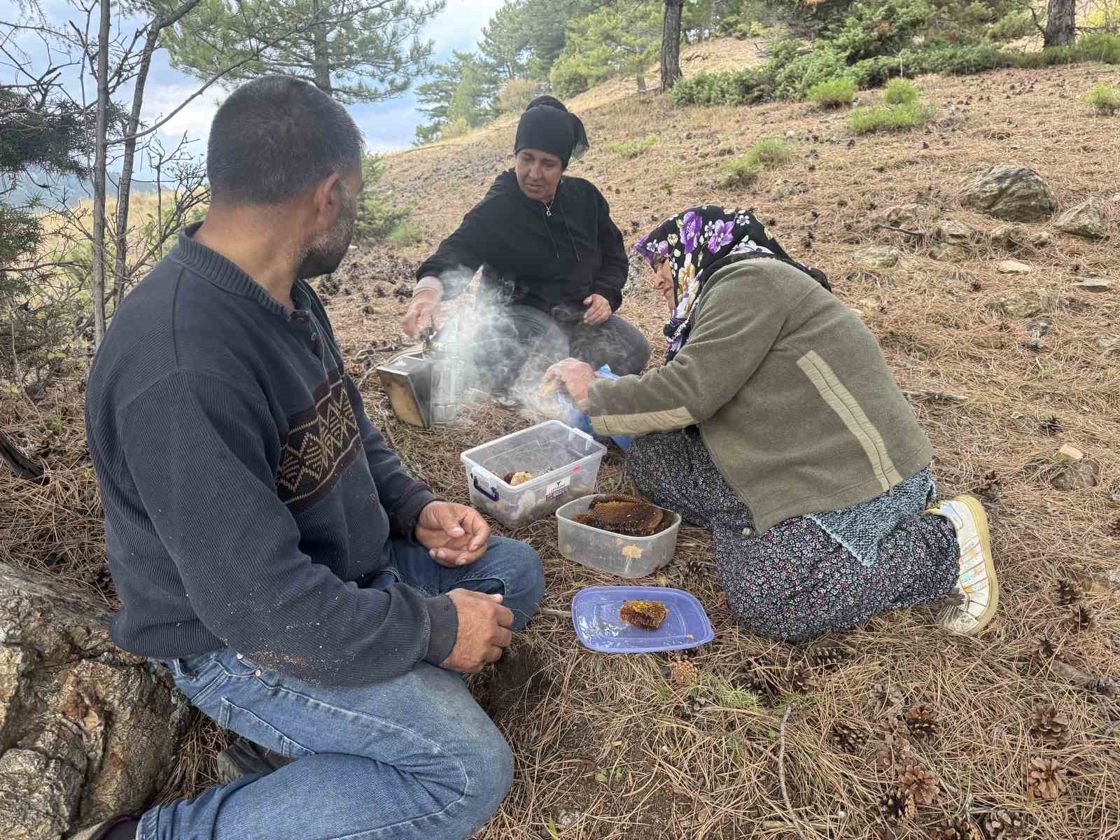 kovanlarindan kacan firari arilarin izini surup toroslardaki dogal kovanlari buluyorlar 7 7bZS4lzH