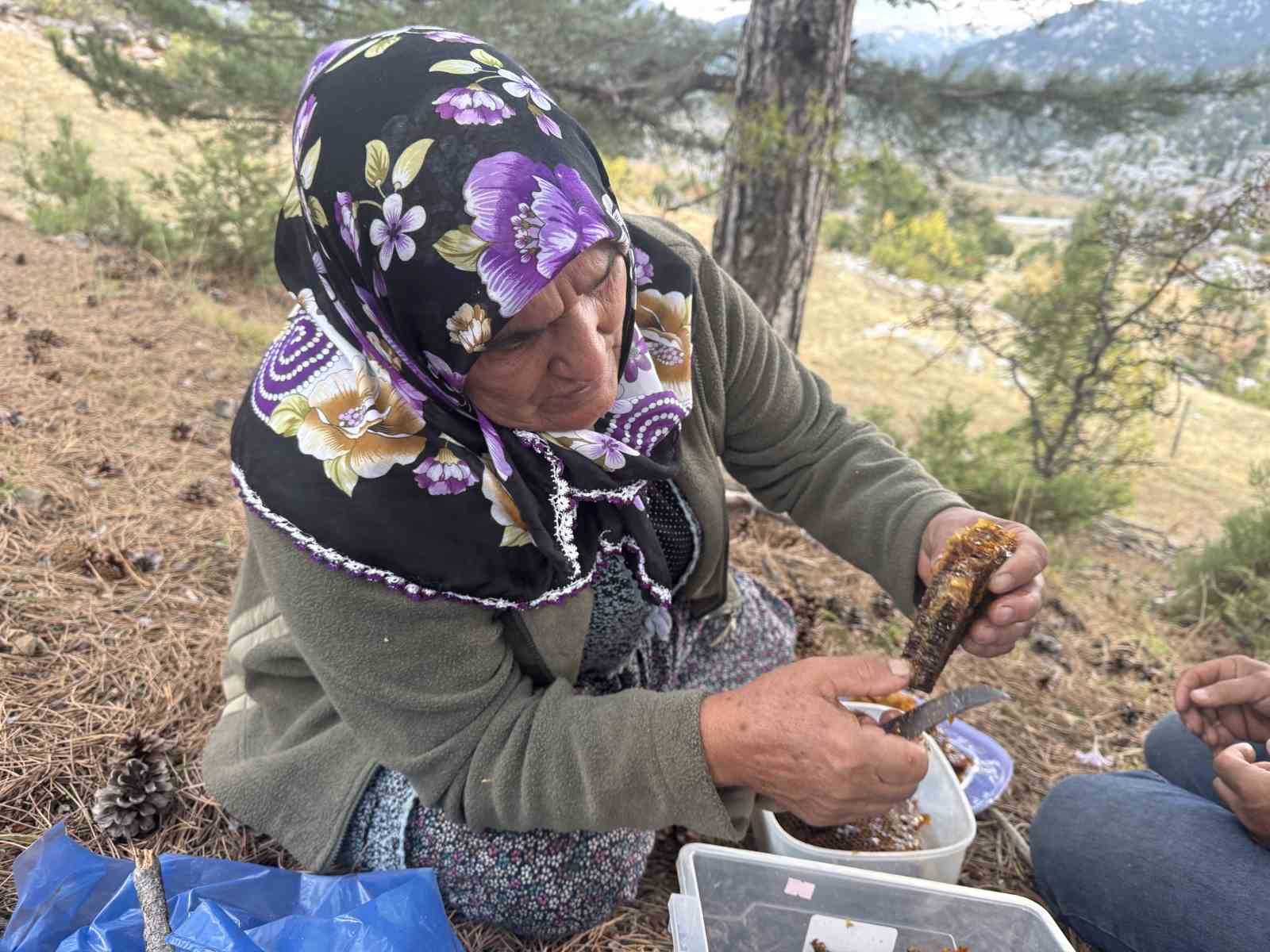 kovanlarindan kacan firari arilarin izini surup toroslardaki dogal kovanlari buluyorlar 8 iHAHYsFb