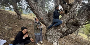 kovanlarindan-kacan-firari-arilarin-izini-surup-toroslardaki-dogal-kovanlari-buluyorlar-dpgpNUFI.jpg