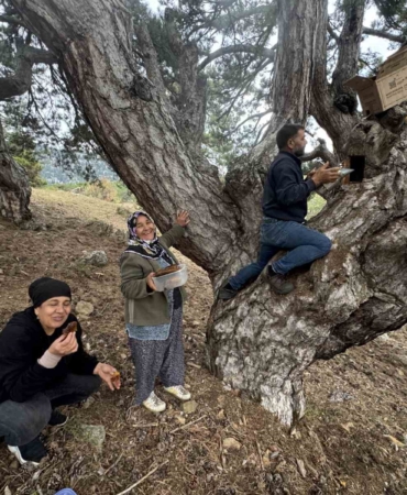kovanlarindan-kacan-firari-arilarin-izini-surup-toroslardaki-dogal-kovanlari-buluyorlar-dpgpNUFI.jpg