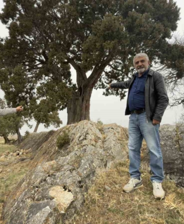 koy-halki-508-yasindaki-ardic-agacinin-tescilini-istiyor-bxuG6ZY2.jpg