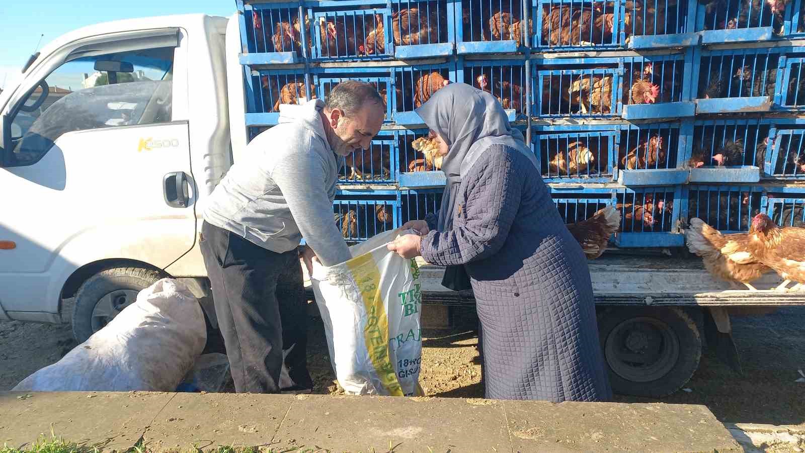 koy koy gezerek canli tavuk satiyor 2
