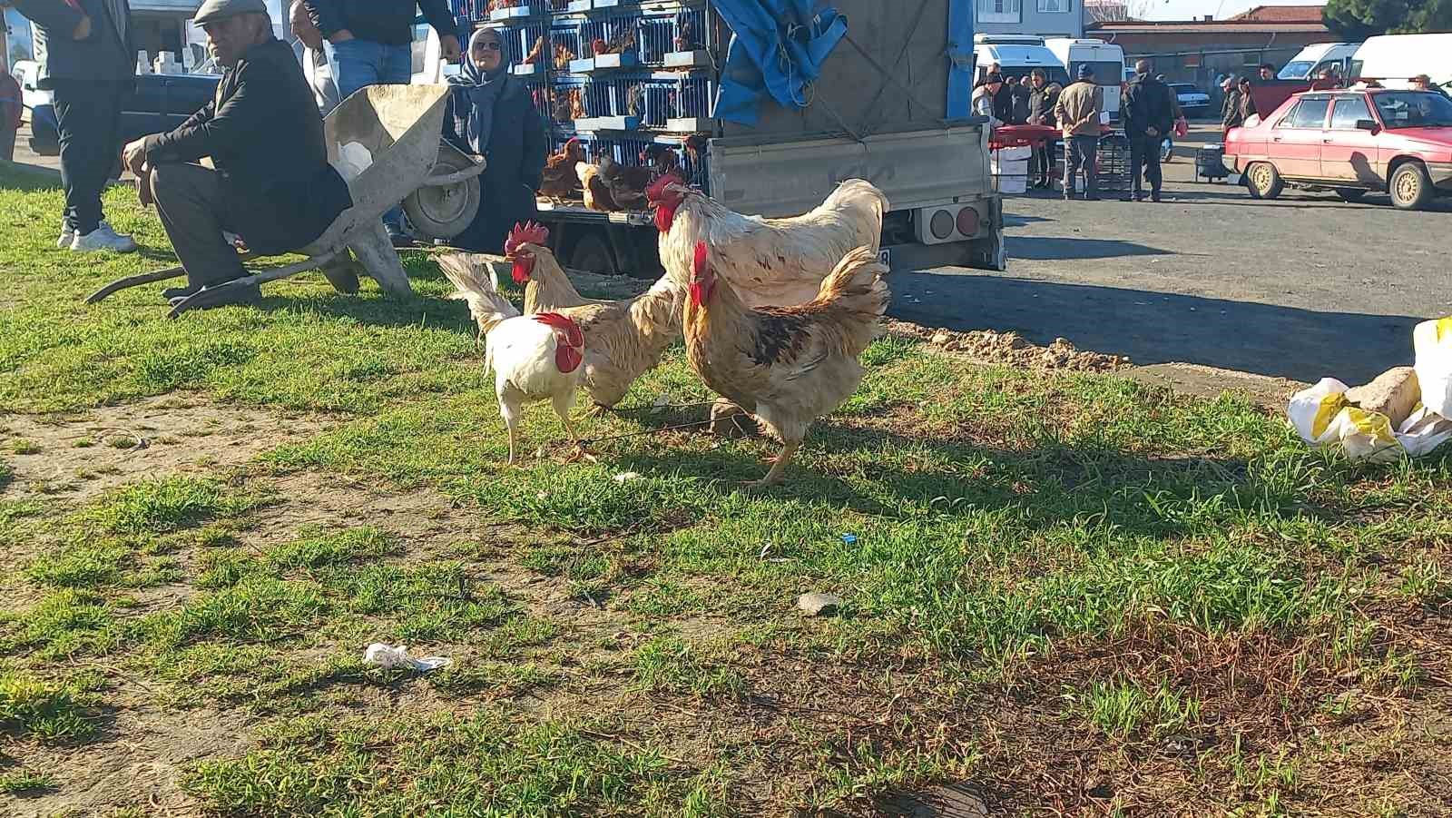 koy koy gezerek canli tavuk satiyor 3 ripFC8kV