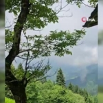 koyde-eve-giren-ayinin-yaptiklarini-boyle-anlatti-NDEdjZMF.jpg