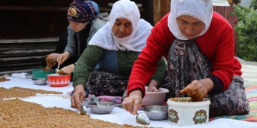 koyde-uretilen-kes-adeta-bir-enerji-deposu-6irZMGLq.jpg