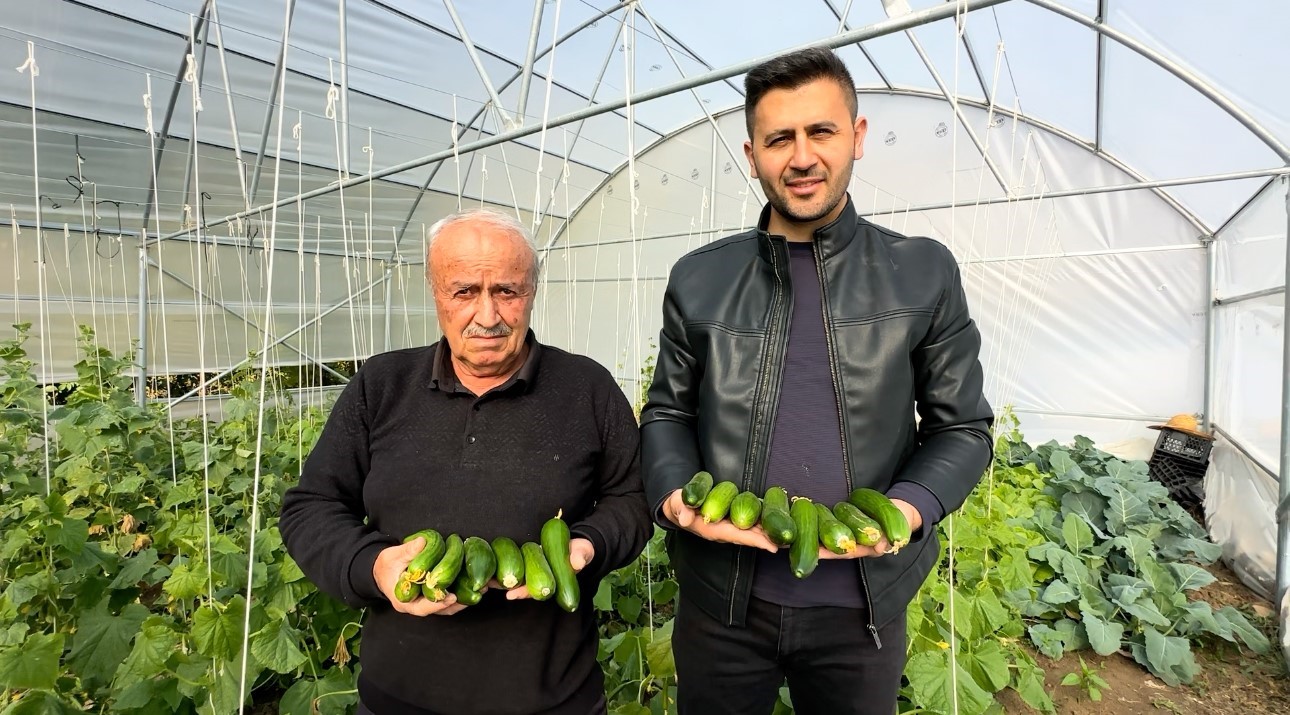"Köye Dönüş" projesi çerçevesinde kurulan seralar sayesinde, boşaltılan köyler yeniden hayat buldu 6 koye donus projesi cercevesinde kurulan seralar sayesinde bosaltilan koyler yeniden hayat buldu 2 Pr3CG1M6