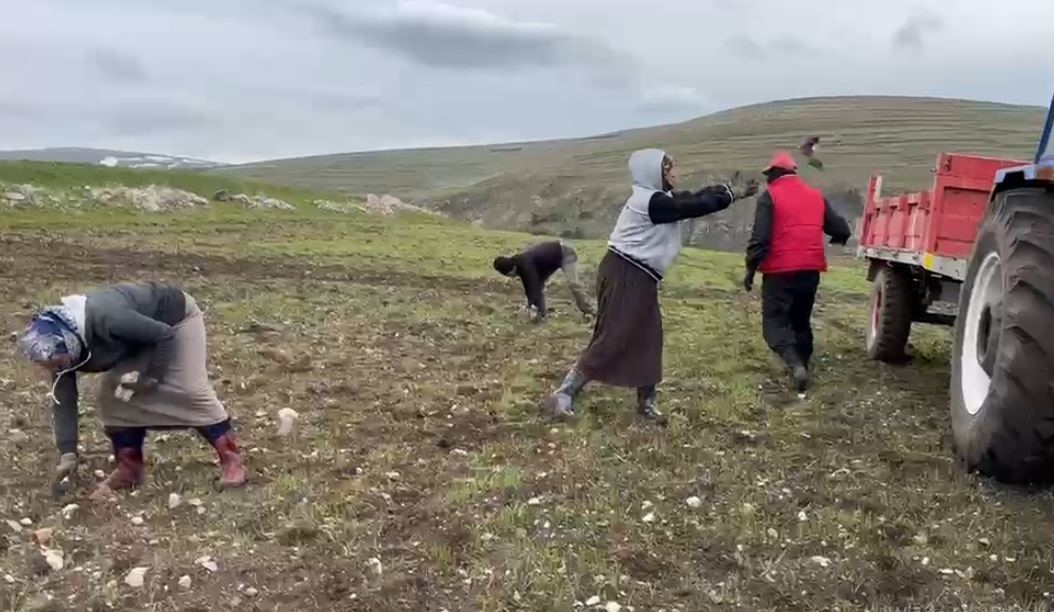 koyluler ekim oncesi tarlalarda tas mesaisinde 2 mhMvNfka