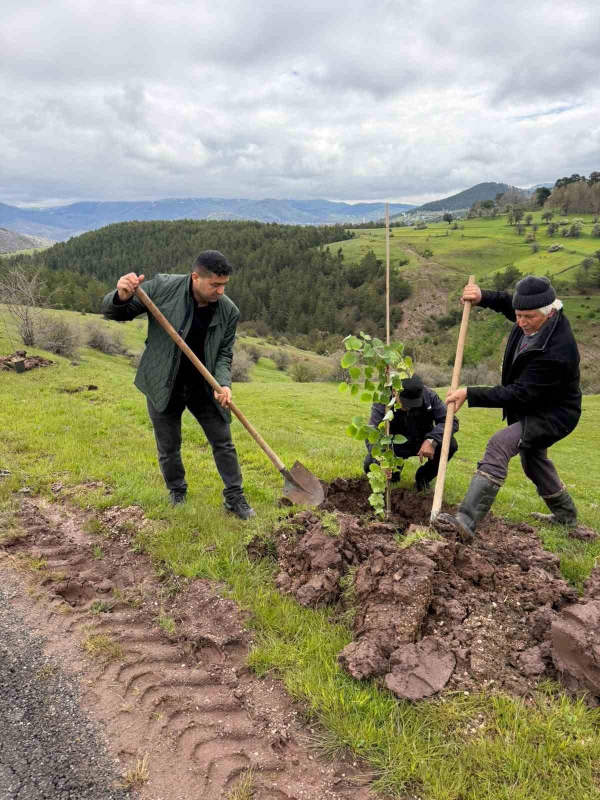 koylulerden ornek davranis 600 fidan toprakla bulustu 6 c3zf5Nl8
