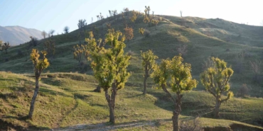 koyluleri-sasirtan-olay-meseler-kis-kapidayken-yeniden-yeserdi-knnHGxDv.jpg