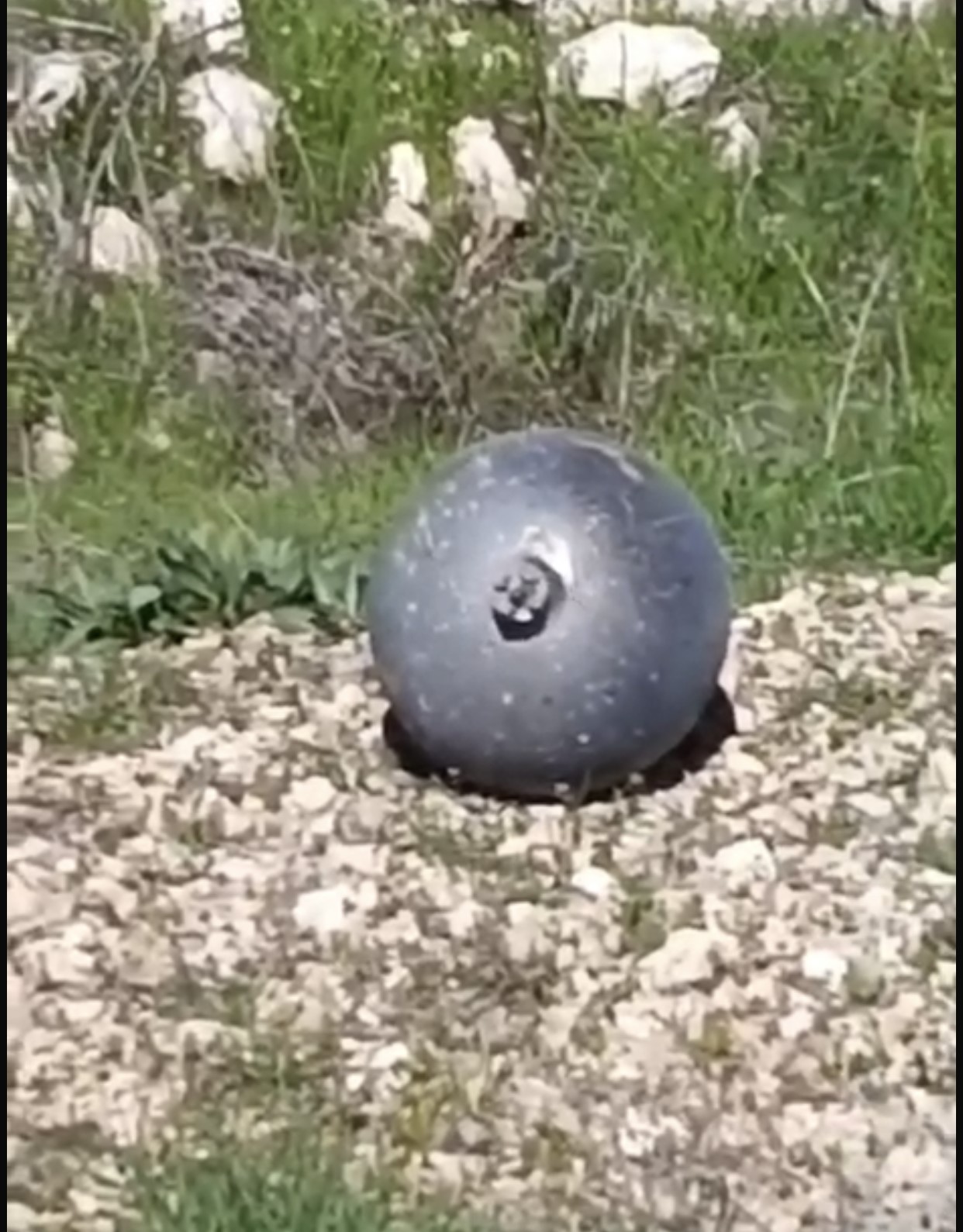 koylulerin buldugu cisim tedirgin etti 2 Dk2VKZS4