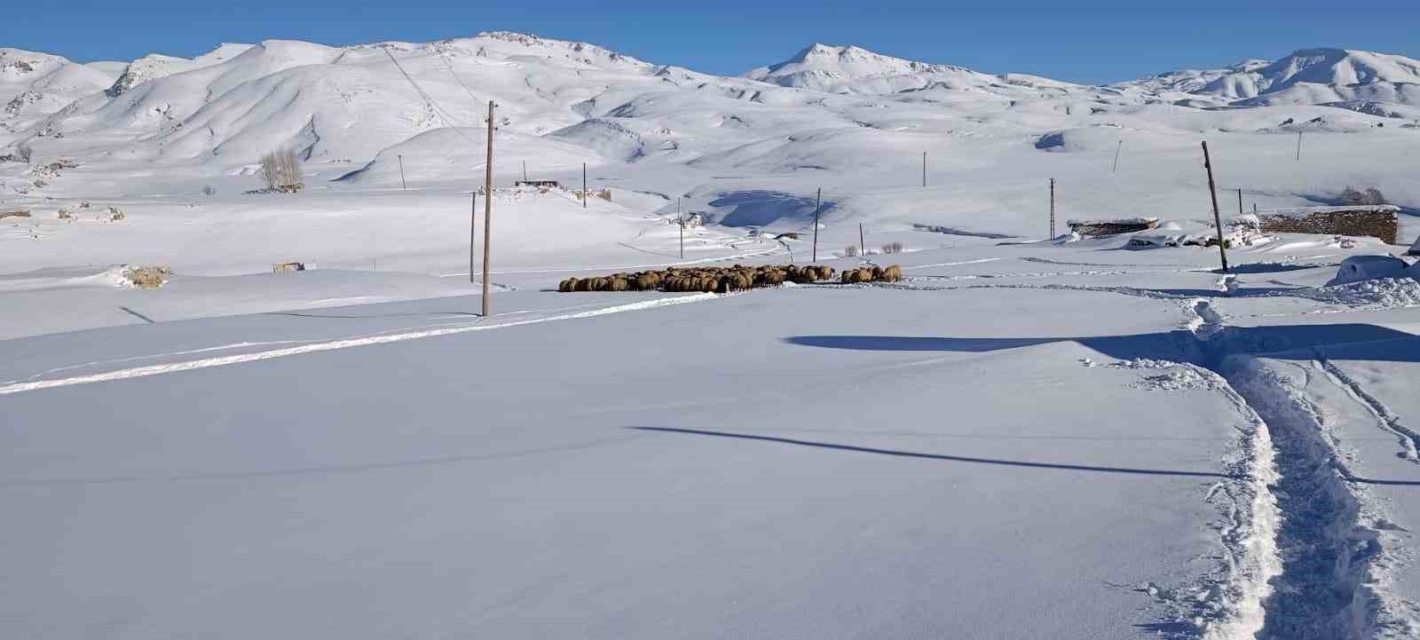 koyunlari icin dondurucu sogukta yaylada kaldilar 0 8zvXwSUL