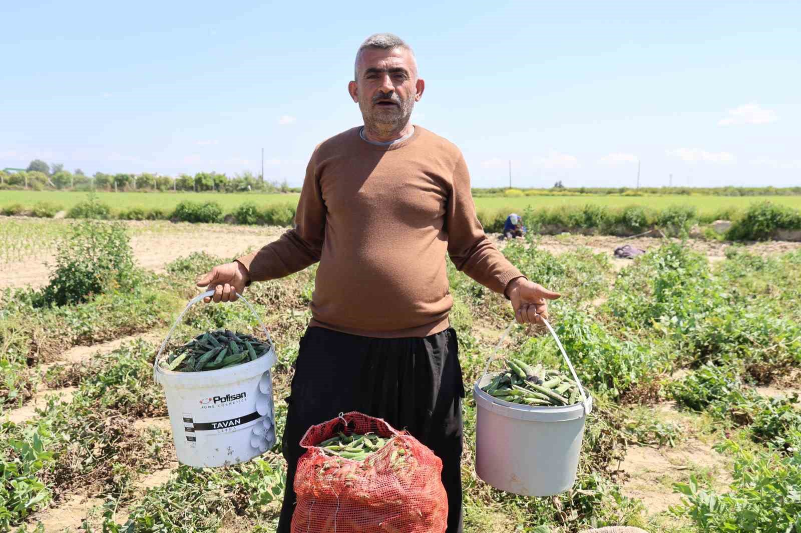 kozan bezelyesi gorunumuyle karadeniz hamsisine benzetildi 1 Ac1ezqHH