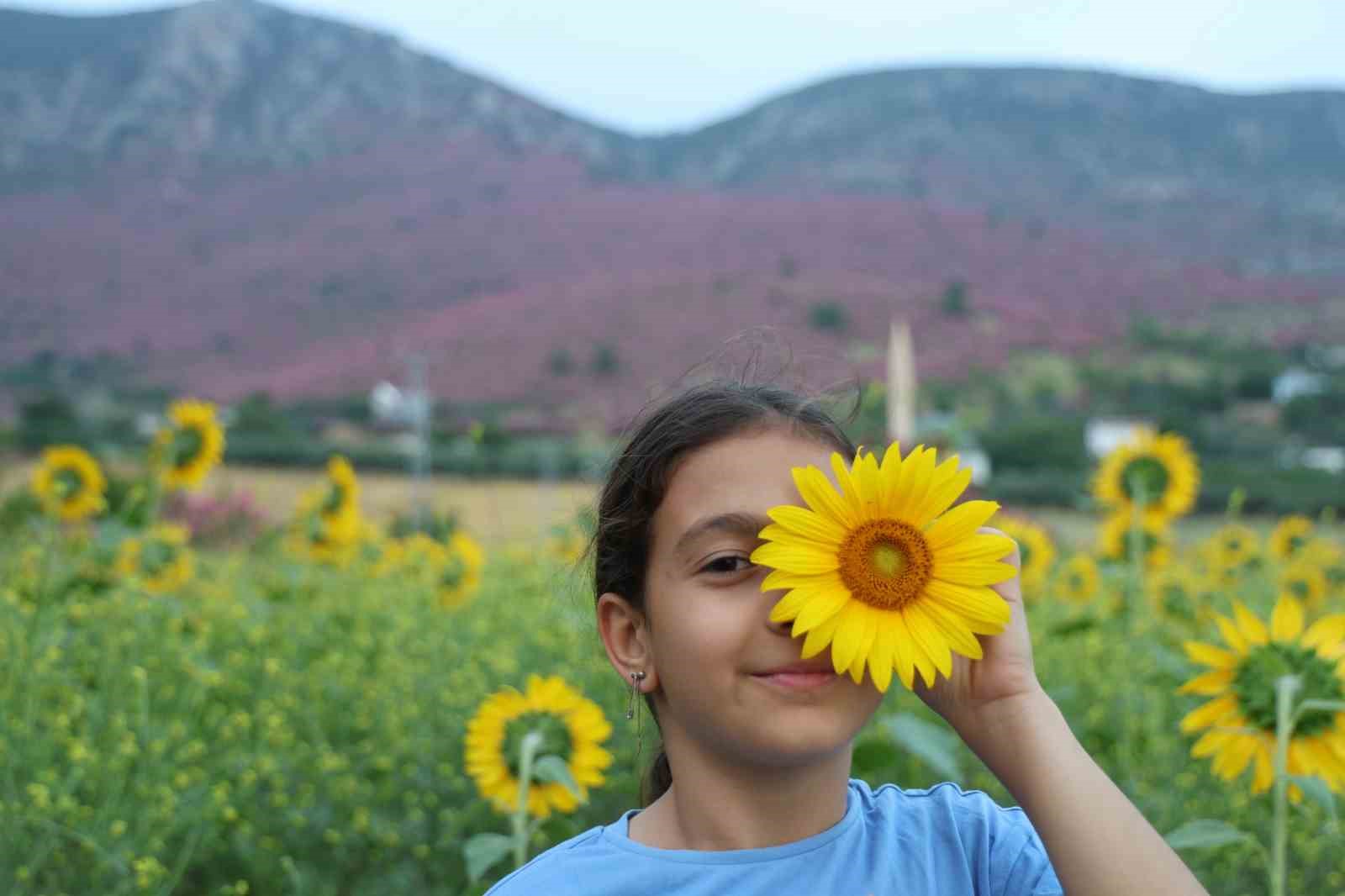 kozanda daglar pembeye ova gunebakanlarla sariya burundu 3 ZbhmJ9Xp
