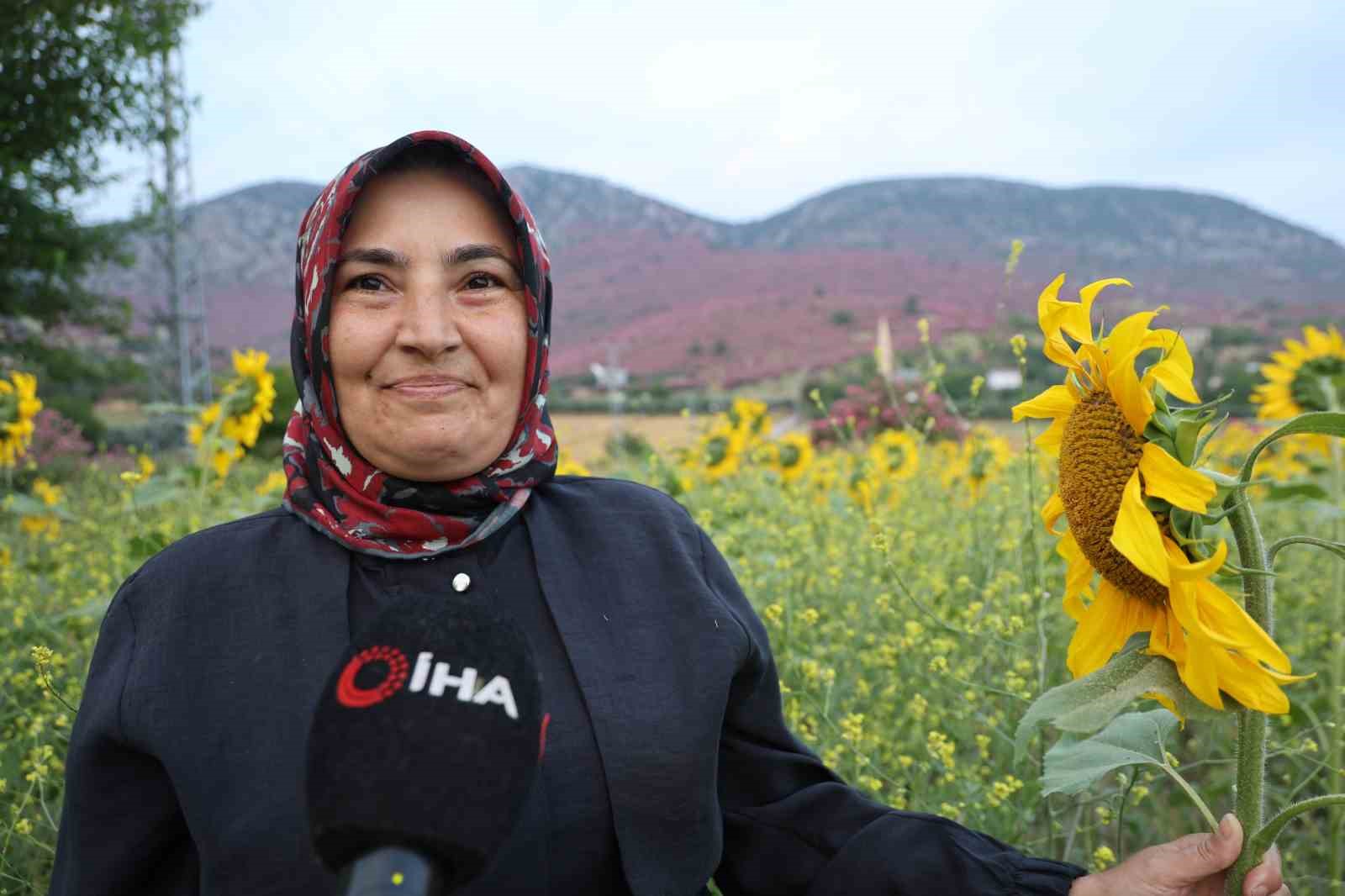 kozanda daglar pembeye ova gunebakanlarla sariya burundu 8 HGujSP8v