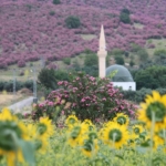 kozanda-daglar-pembeye-ova-gunebakanlarla-sariya-burundu-hWJJ22Nq.jpg