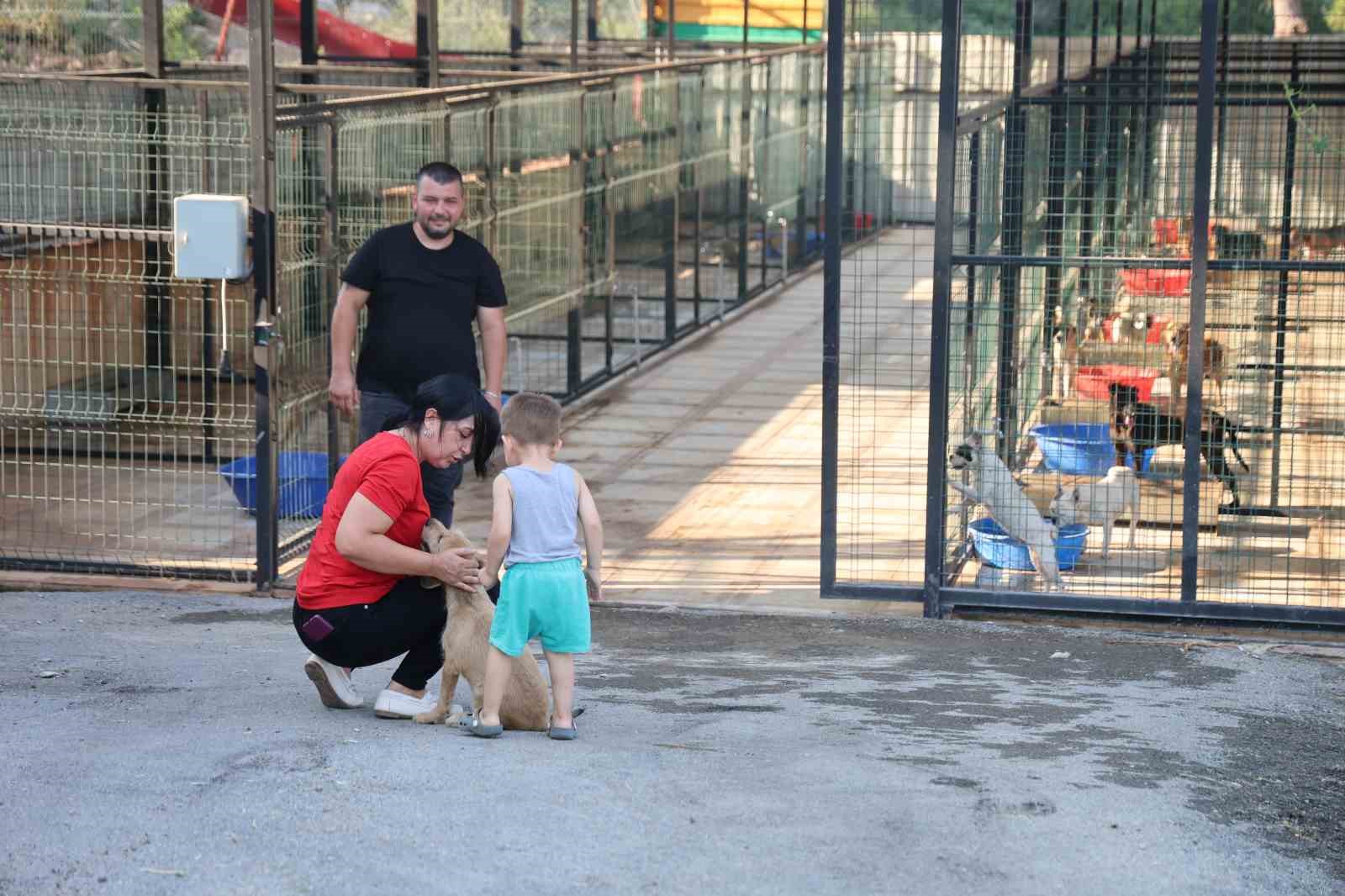 Kozan’da hedef sıfır sahipsiz sokak hayvanı 8 kozanda hedef sifir sahipsiz sokak hayvani 4 FzmhbTg4