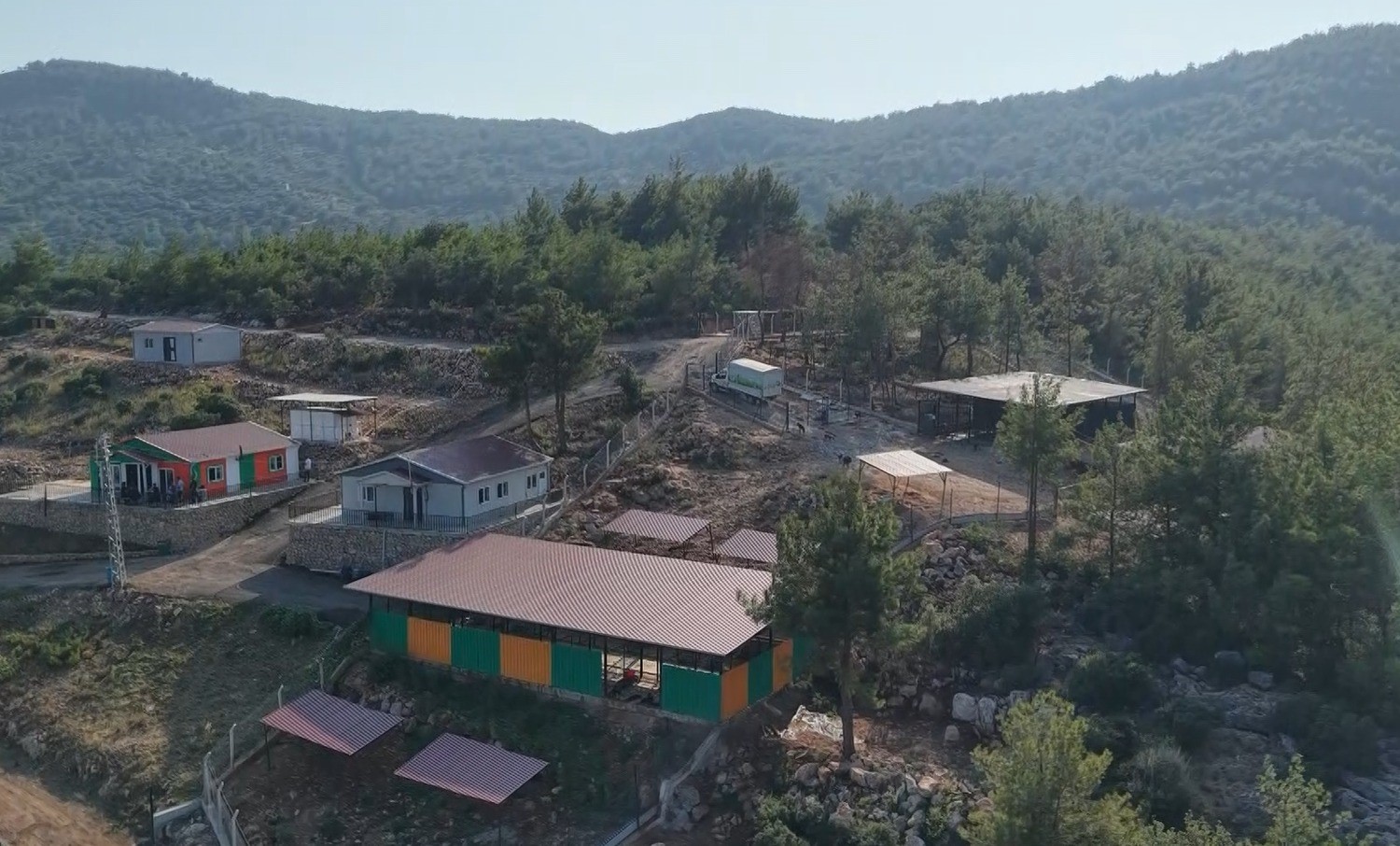 Kozan’da hedef sıfır sahipsiz sokak hayvanı 9 kozanda hedef sifir sahipsiz sokak hayvani 5 CFiqcpzu