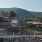 kozanda-hedef-sifir-sahipsiz-sokak-hayvani-FUIu9tF3.jpg