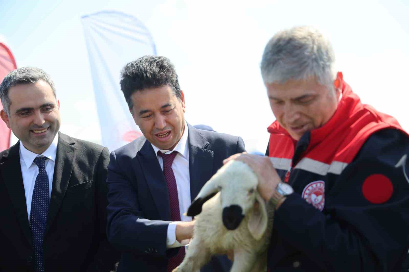 kozanda islah edilen mera alani dualarla acildi suruler alanda otlamaya basladi 4 fqmzEWnt