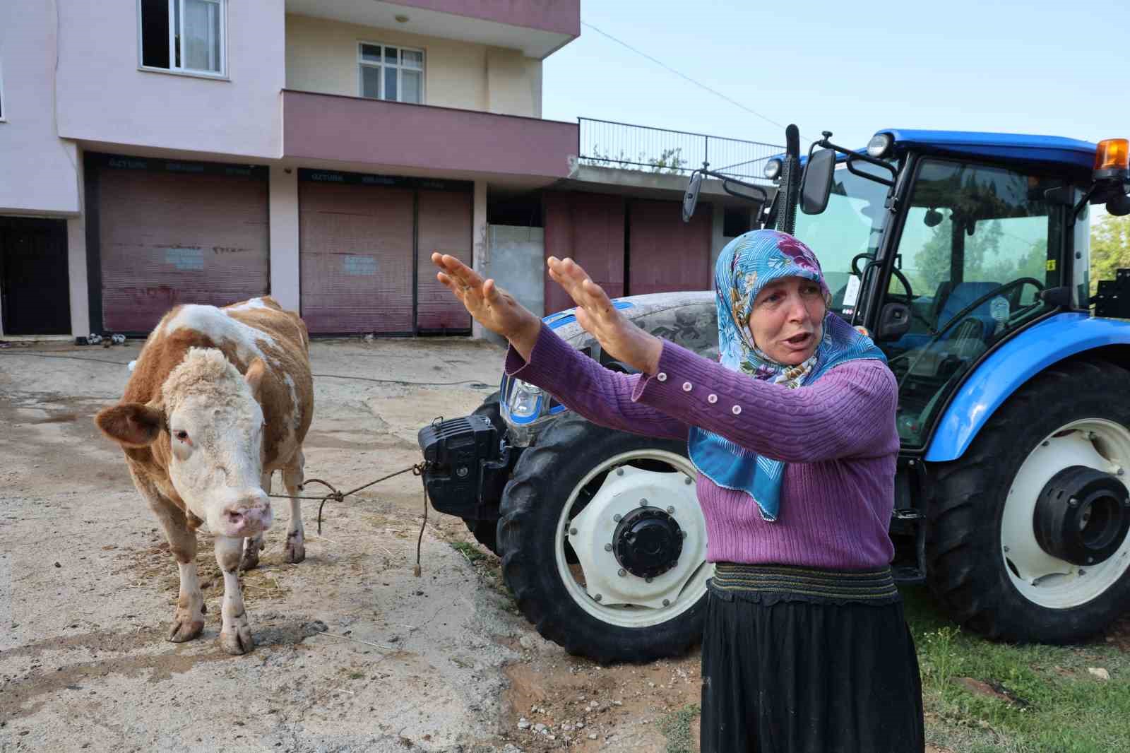 kozandaki selde hayvanlari telef olan kadin bir anda sel geldi ahirin ustunu asti 0 hUlu568m