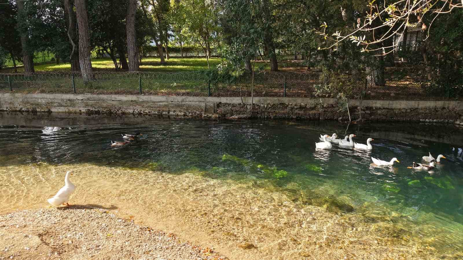 kozanin tarihi ve dogal guzel alani da kurakliktan nasibini aldi 10 GfeACv49