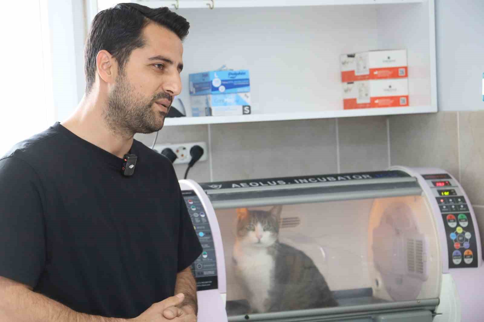 Kral ölümden döndü, zorlu ameliyat başarıyla tamamlandı 4 kral olumden dondu zorlu ameliyat basariyla tamamlandi 0 LqOFPFvY