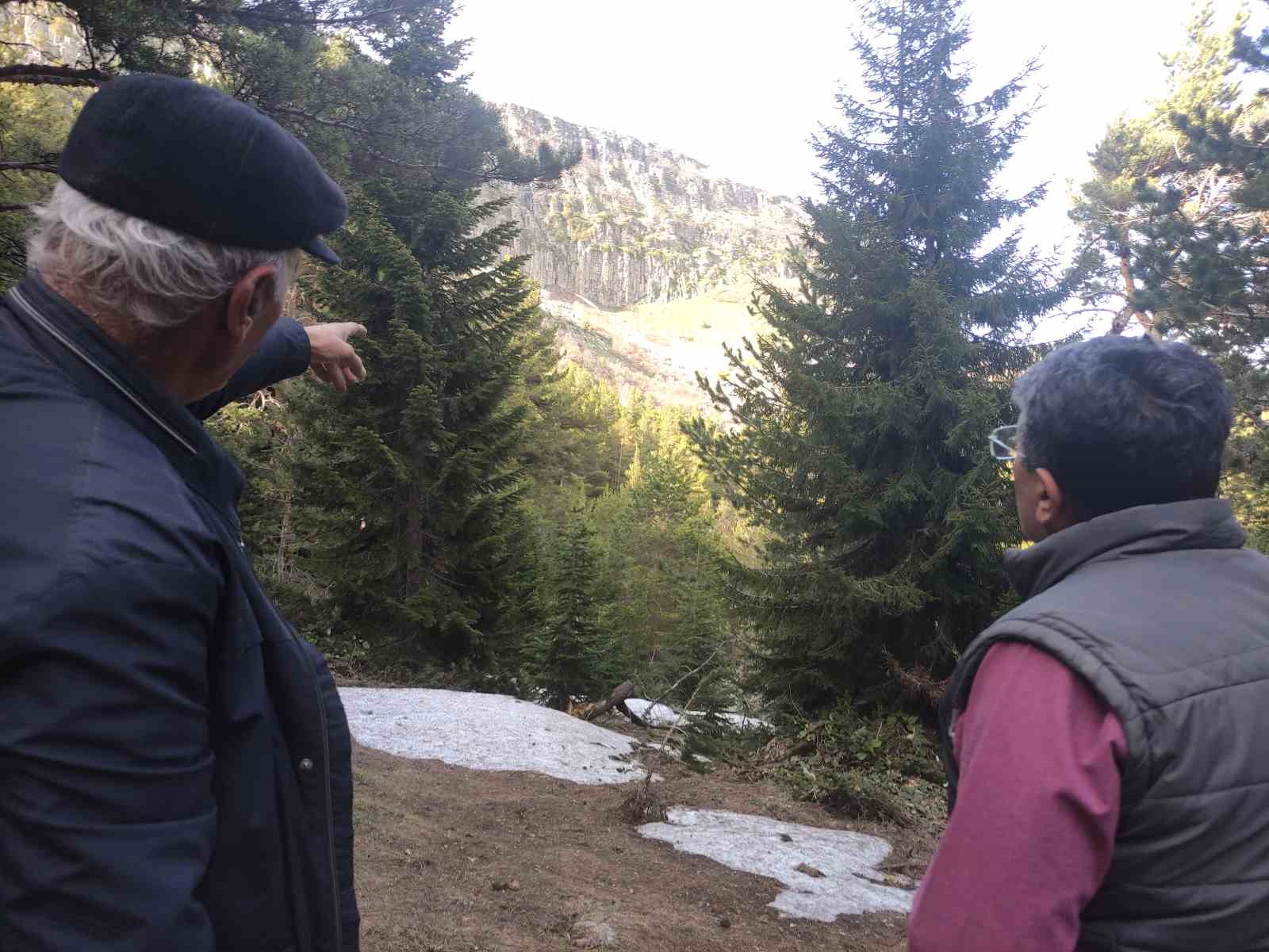 Kraliçe Tamara’nın gizemli mezarı için Posof iddiası gündemde 6 kralice tamaranin gizemli mezari icin posof iddiasi gundemde 2 NYBvRJv8