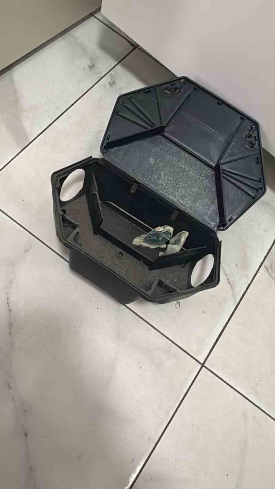 kreste fare zehiri ile oynayan cocuk hastanelik oldu 1