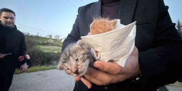 kucuk-kizin-duyarliligi-sayesinde-2-yavru-kedi-kurtarildi-Mx5zdENU.jpg