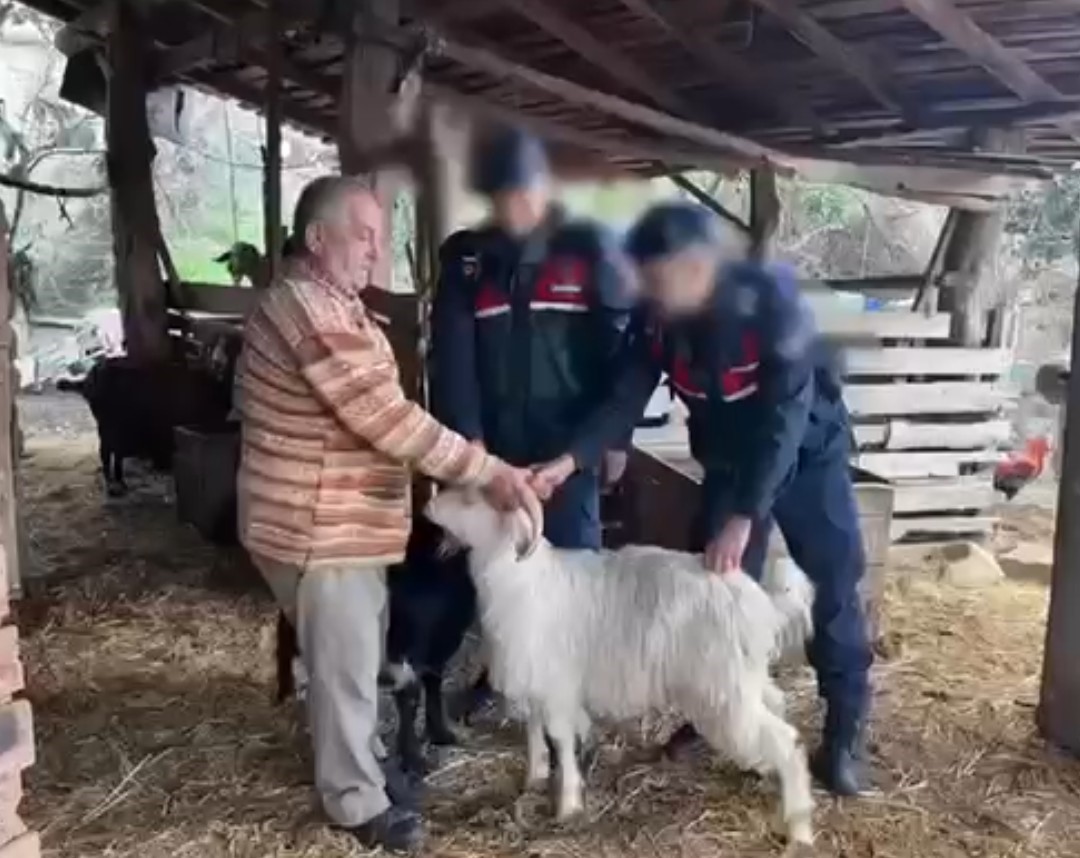 kucukbas hayvan hirsizligi yapan 3 supheli tutuklandi 2