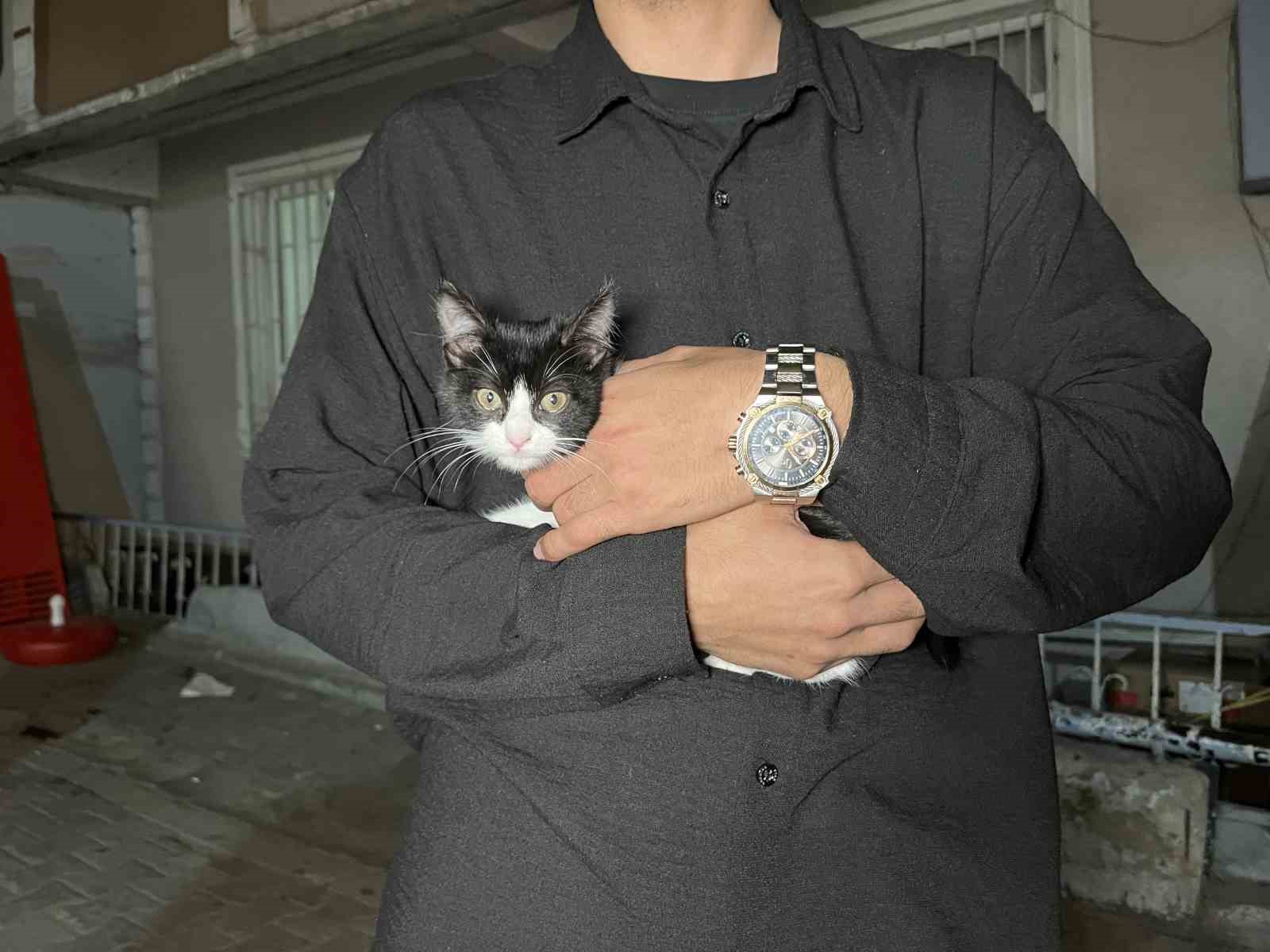 Küçükçekmece’de 7’inci kattan düşen kedi şemsiye ile kurtarıldı 5 kucukcekmecede 7inci kattan dusen kedi semsiye ile kurtarildi 1 HhcZIOYS