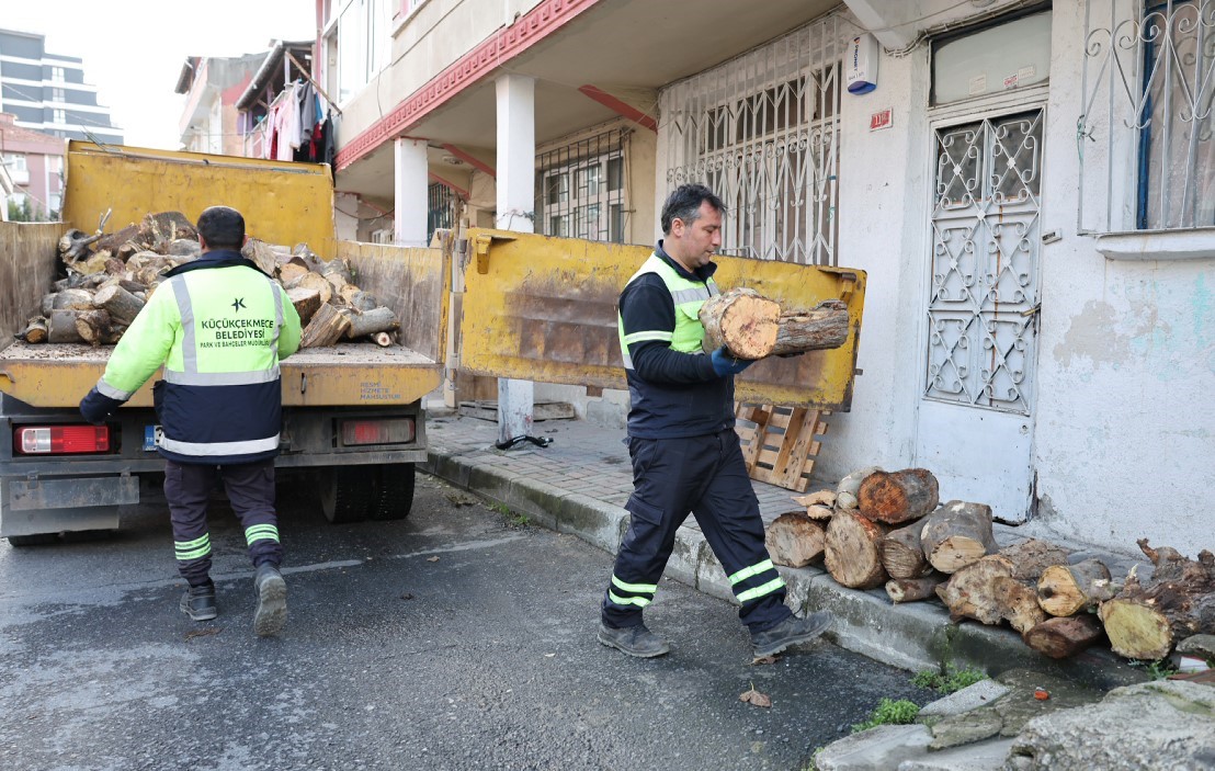kucukcekmecede budanan agaclar ihtiyac sahiplerine yakacak oluyor 2 E1gJiyqa