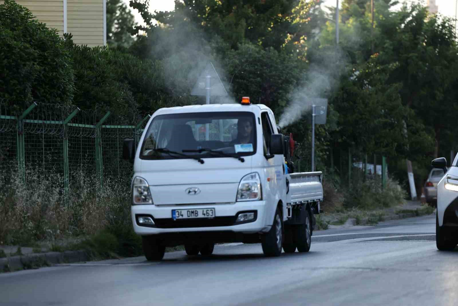 kucukcekmecede sivrisineklere karsi mucadele yogunlasti 3 8RKJJFdS