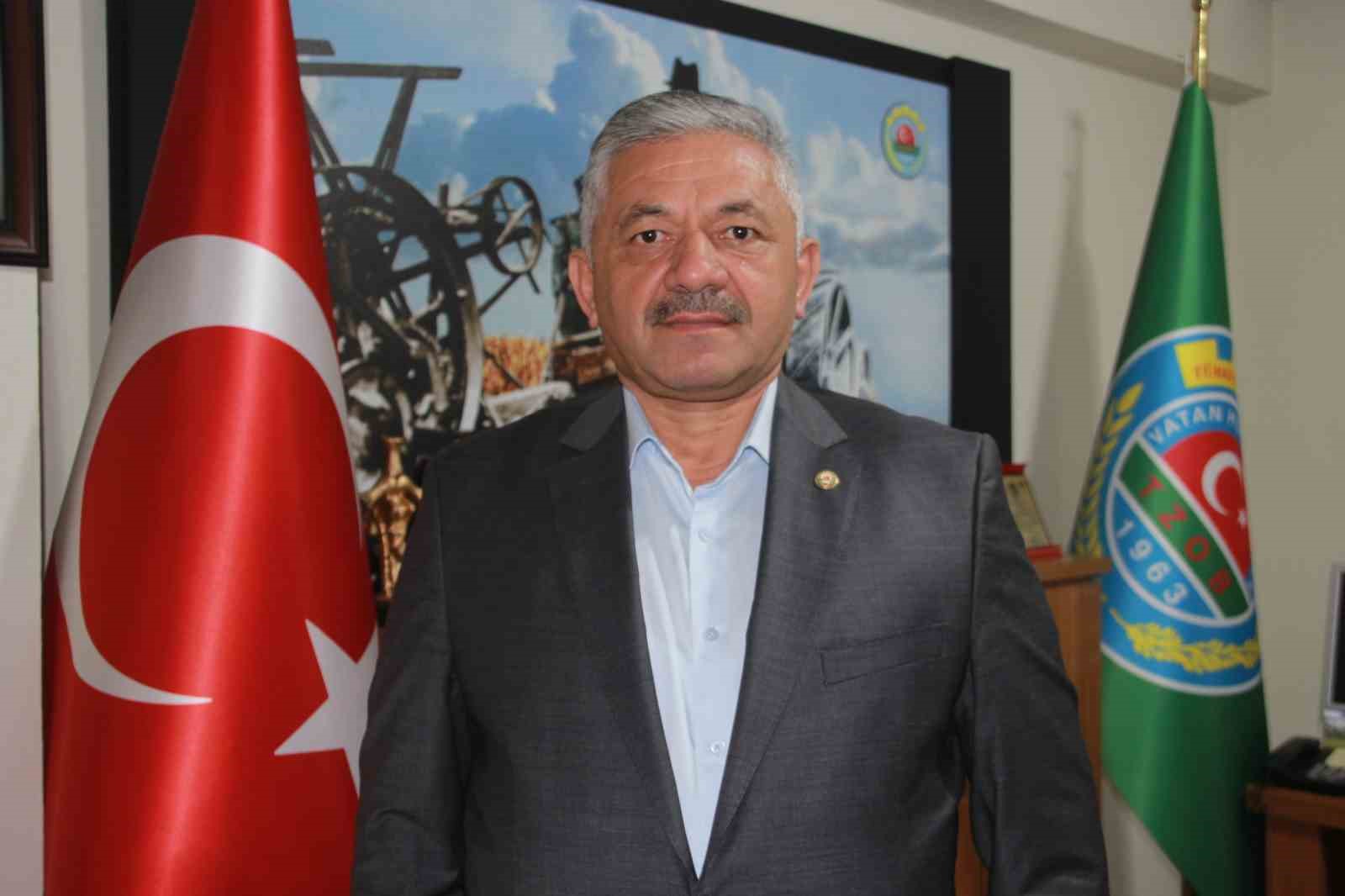 kulleme hastaligi findikta verim ve kaliteyi tehdit ediyor 1 3VRB9b6q