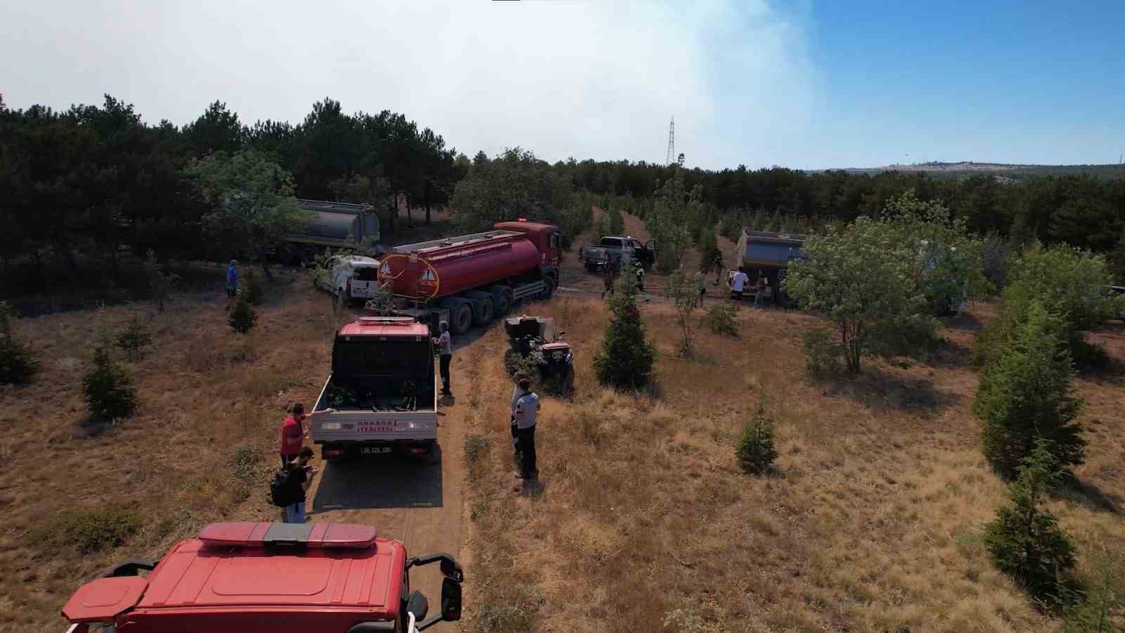 kullerinden dogan ormanlar yanan alanlar ozel dikim teknigiyle yeniden yeseriyor 2 m7MbLdds